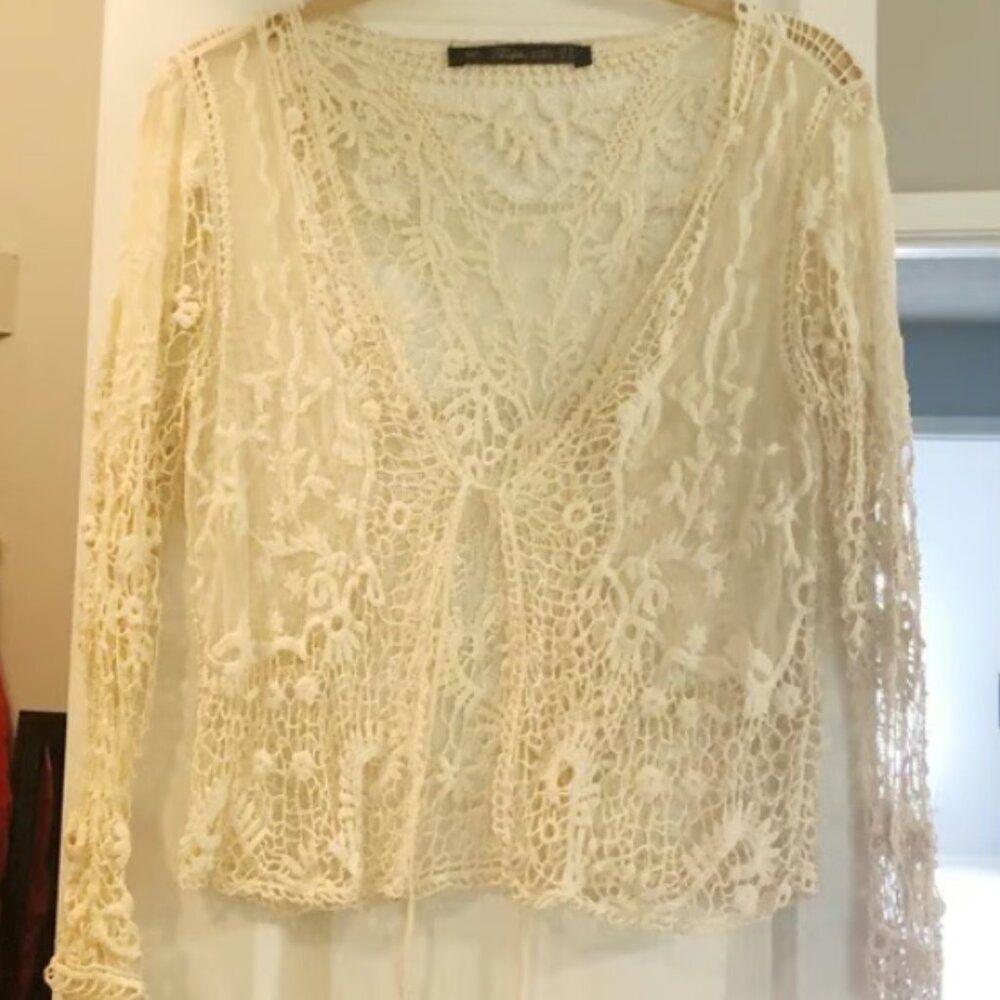 zara embroidered lace sheer top